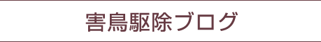 害鳥駆除ブログ